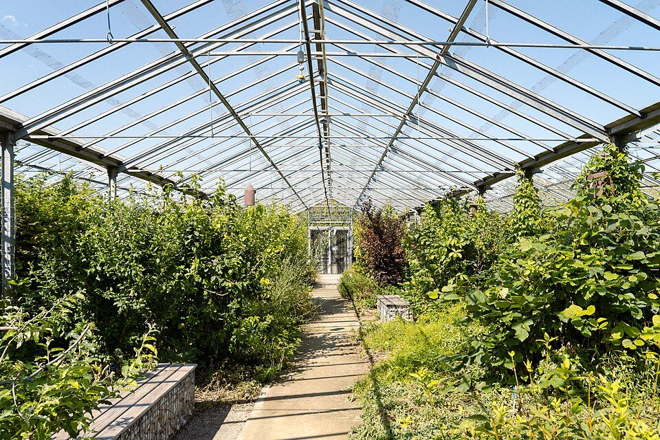 Interior de estufa com plantas ornamentais em vaso