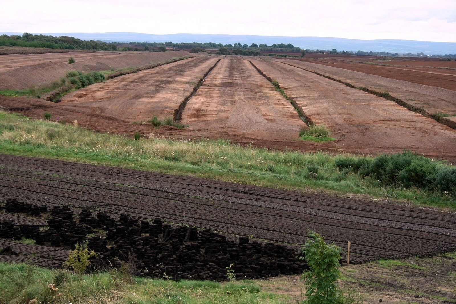 Extração de turfa em turfeira, Bog of Allen, Irlanda