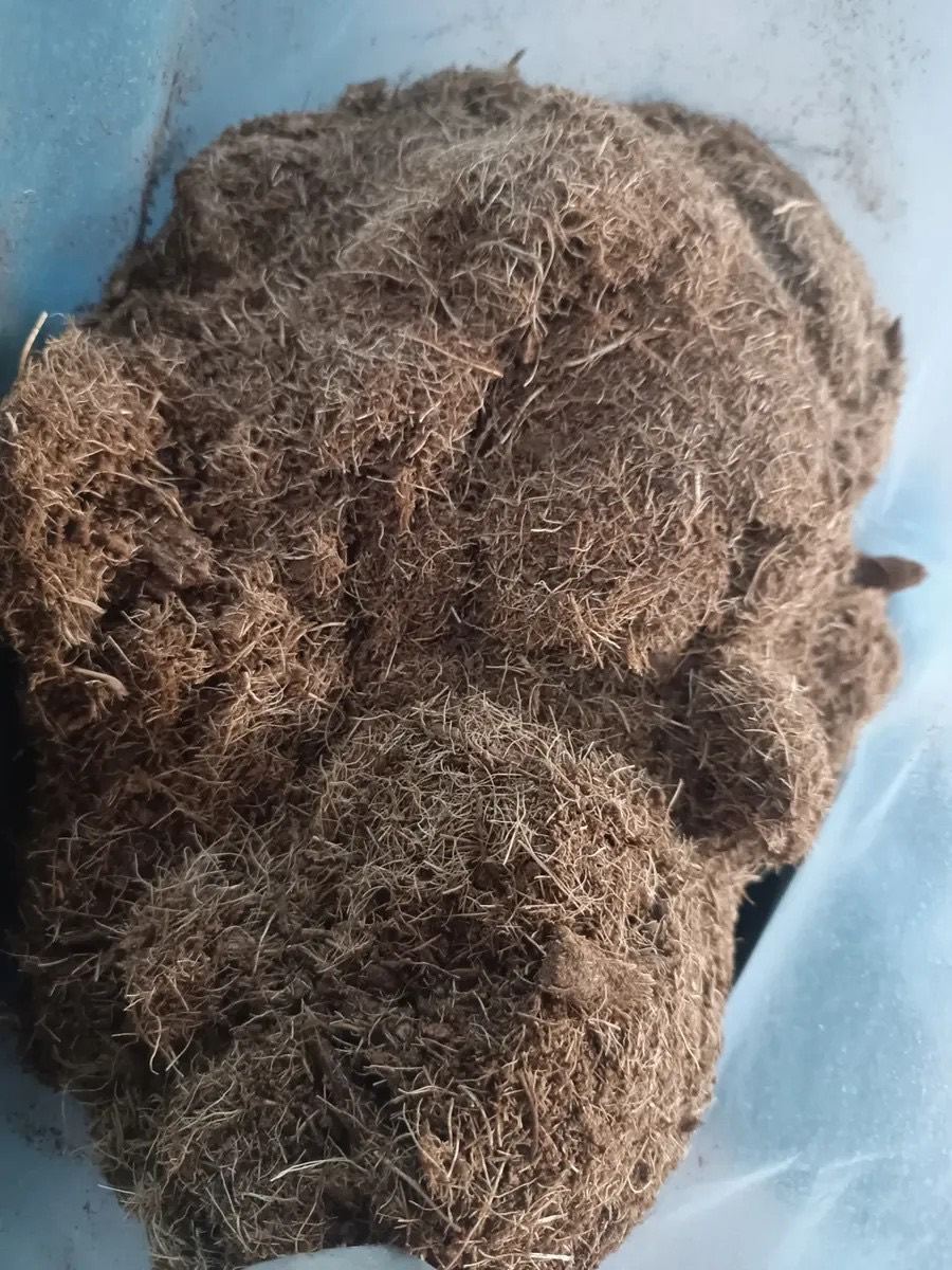 Misto de coco, mistura de pó e fibra