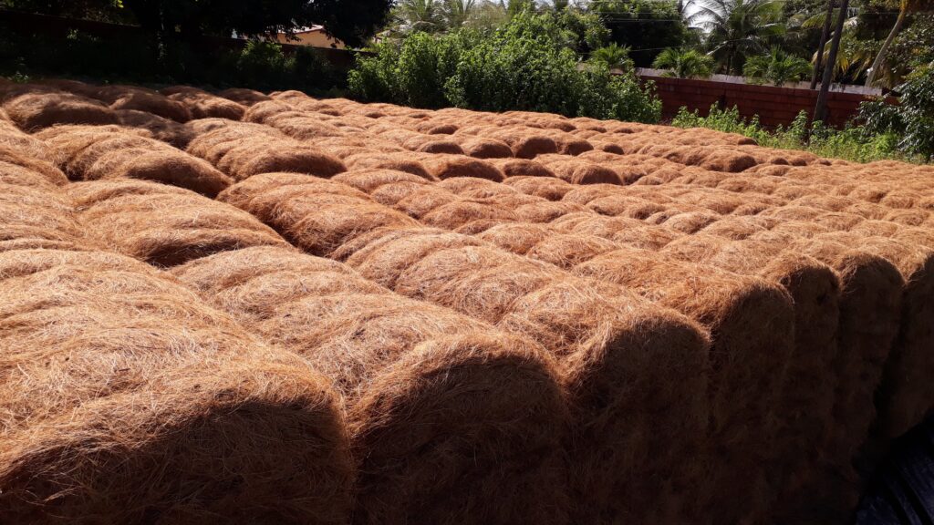 Fardos de fibra longa de coco prontos para expedição